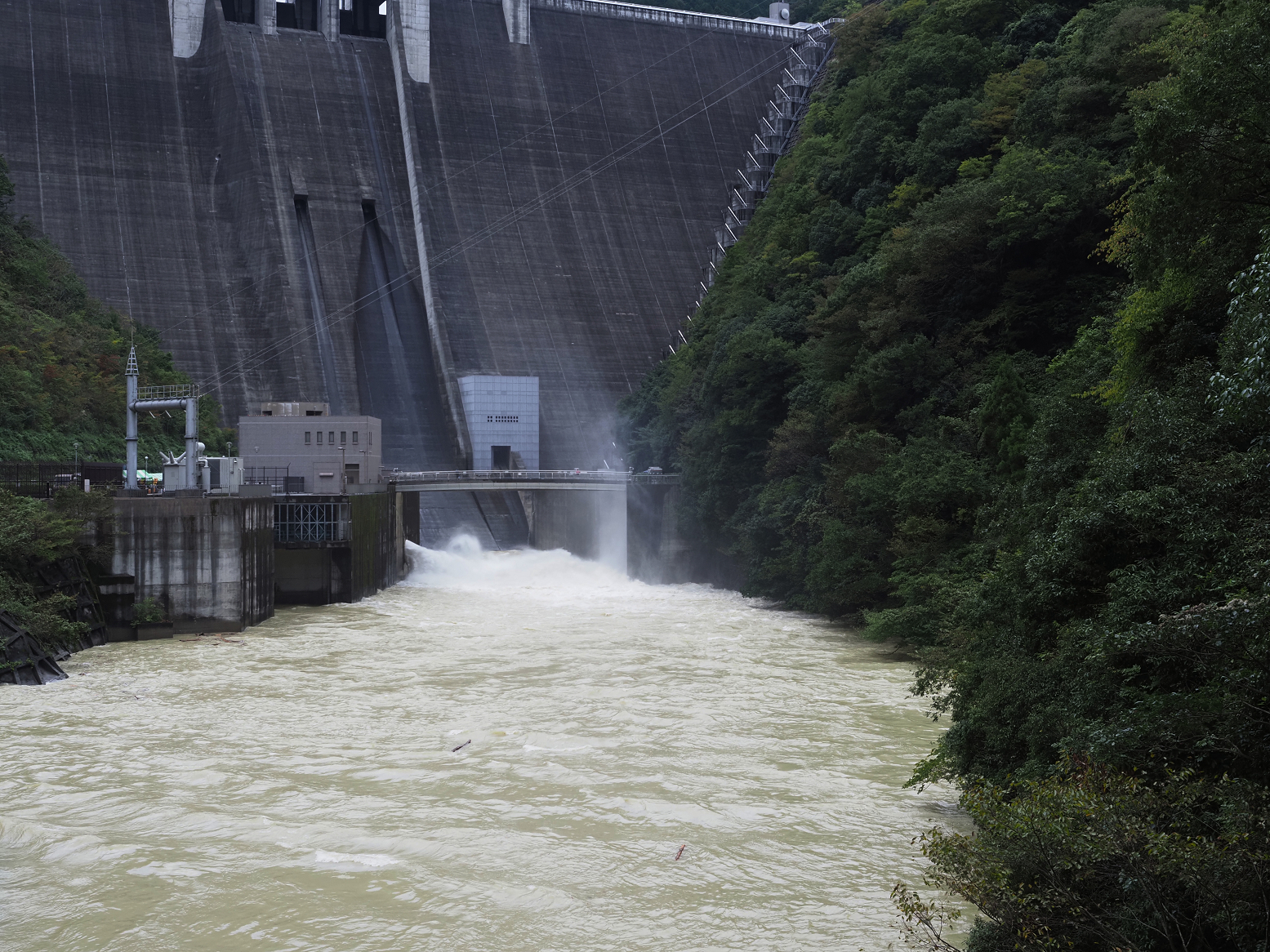 PA260014.jpg