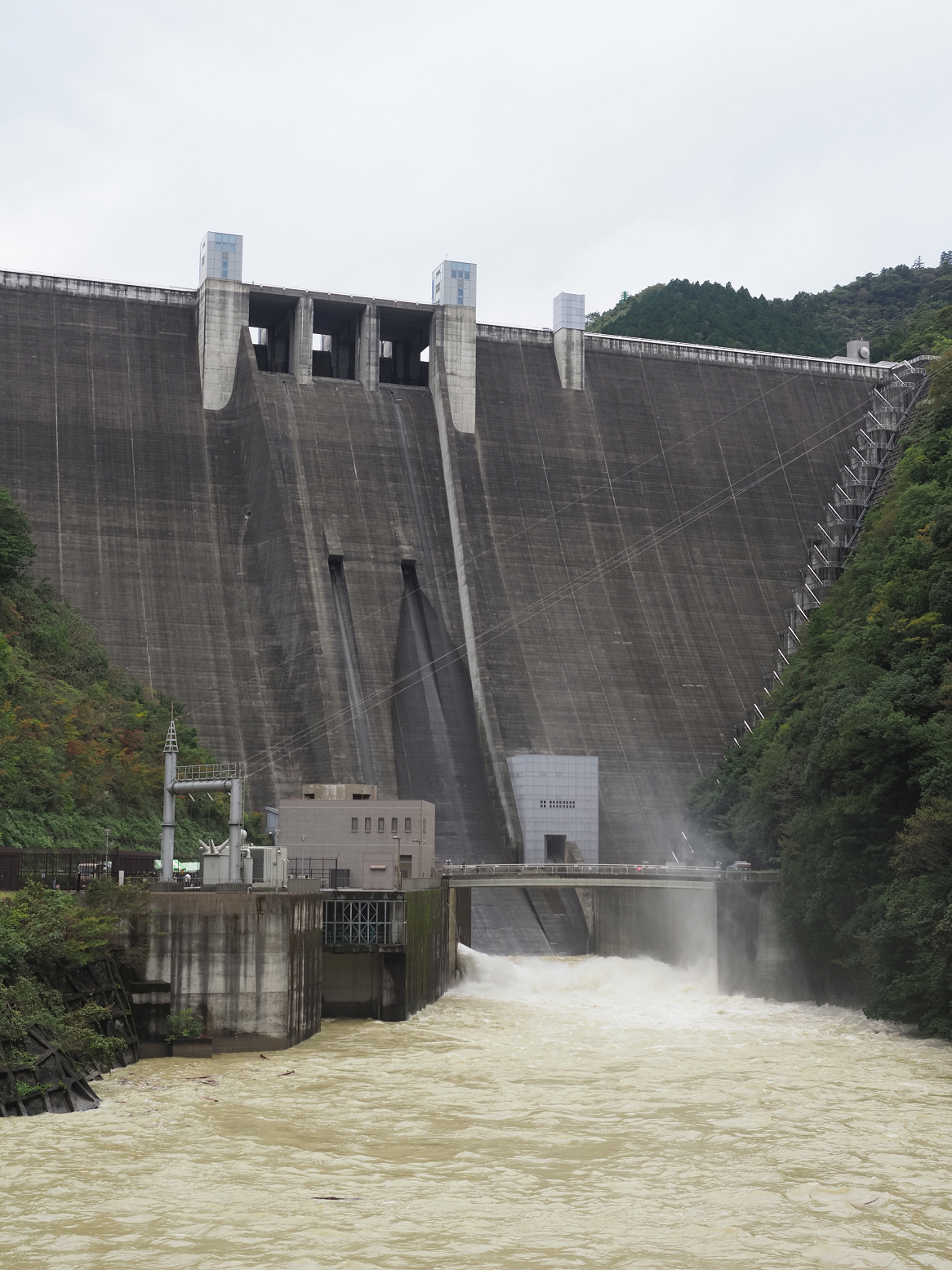 PA260017.jpg