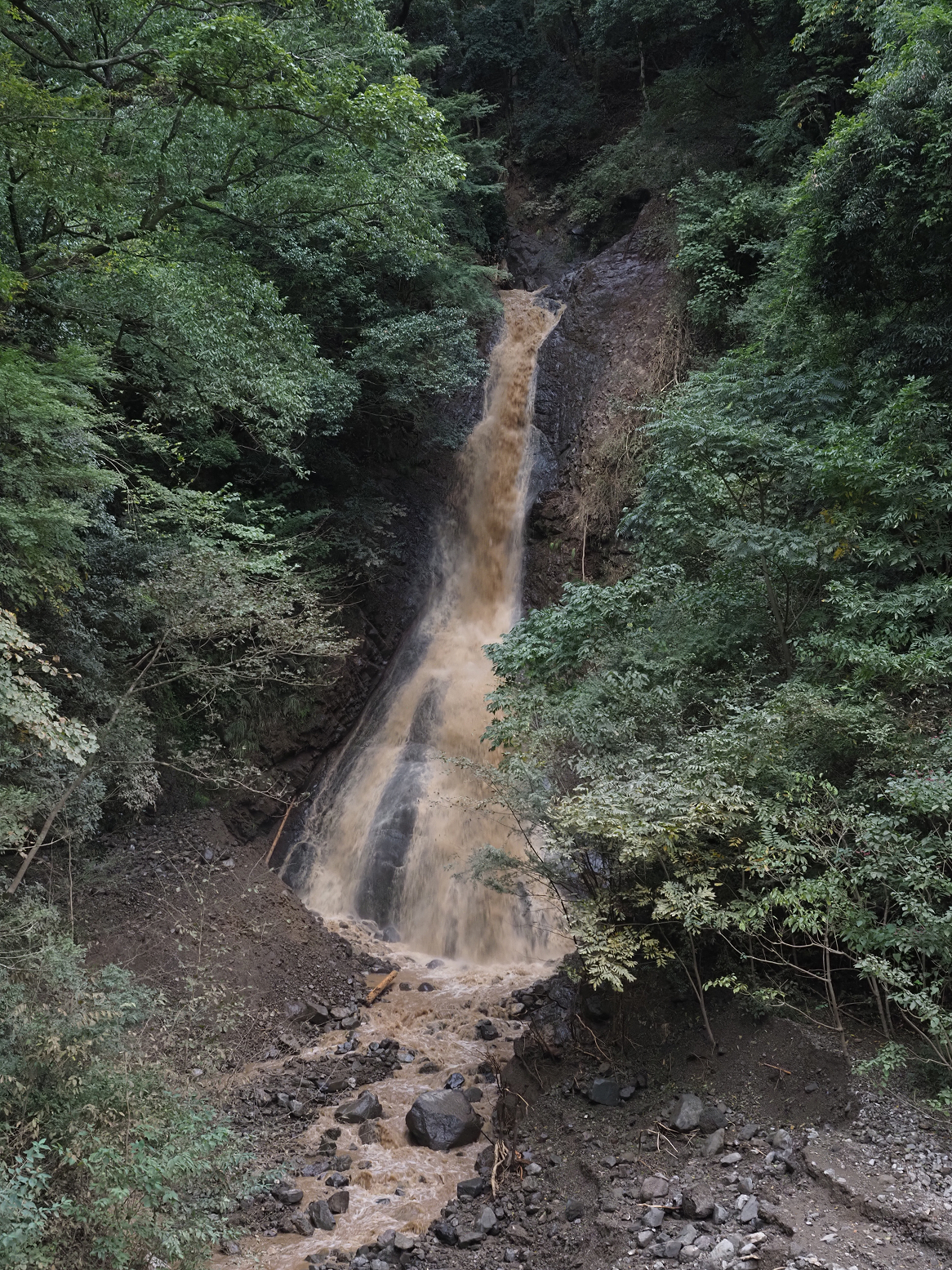 PA260021.jpg