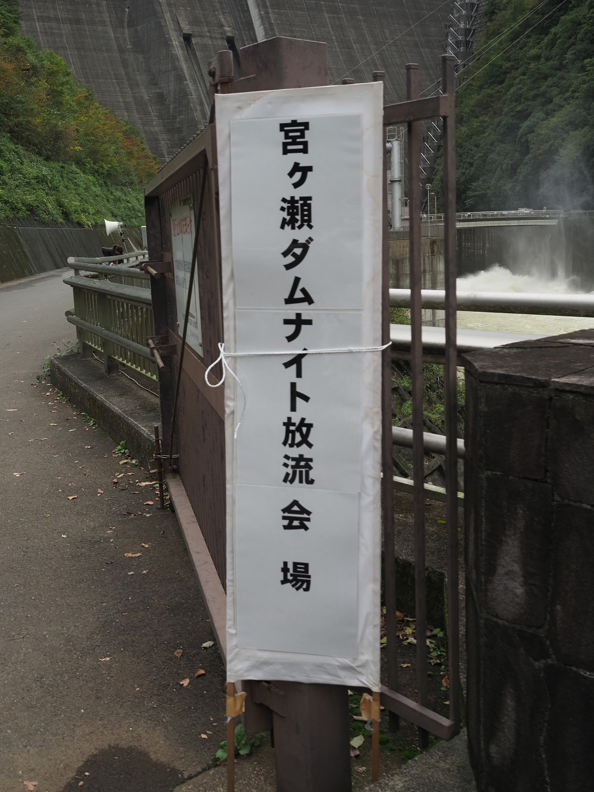 PA260026.jpg