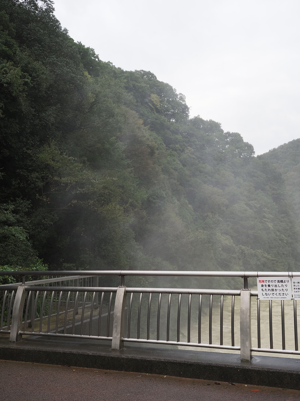 PA260031.jpg