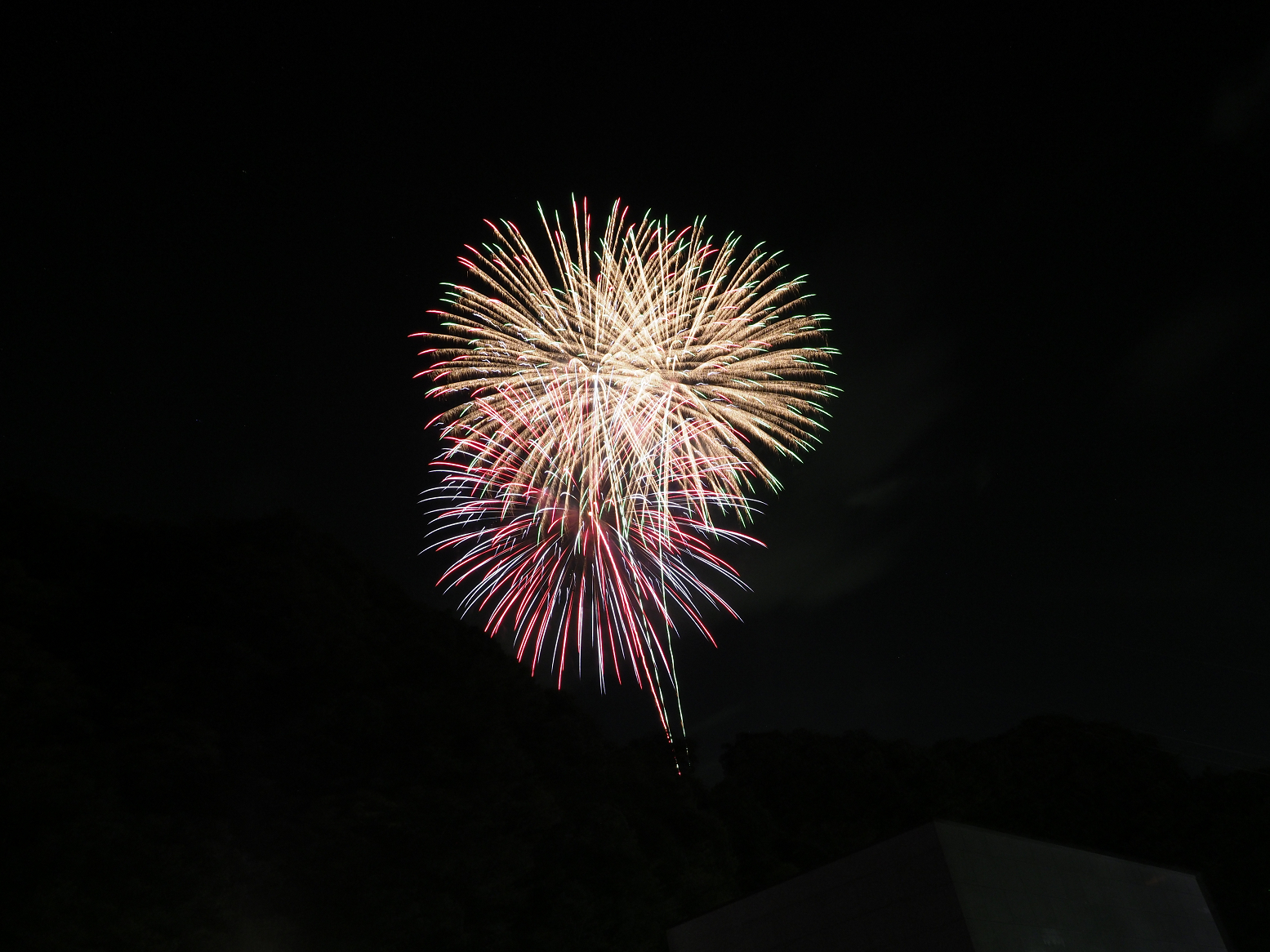 PA260216.jpg