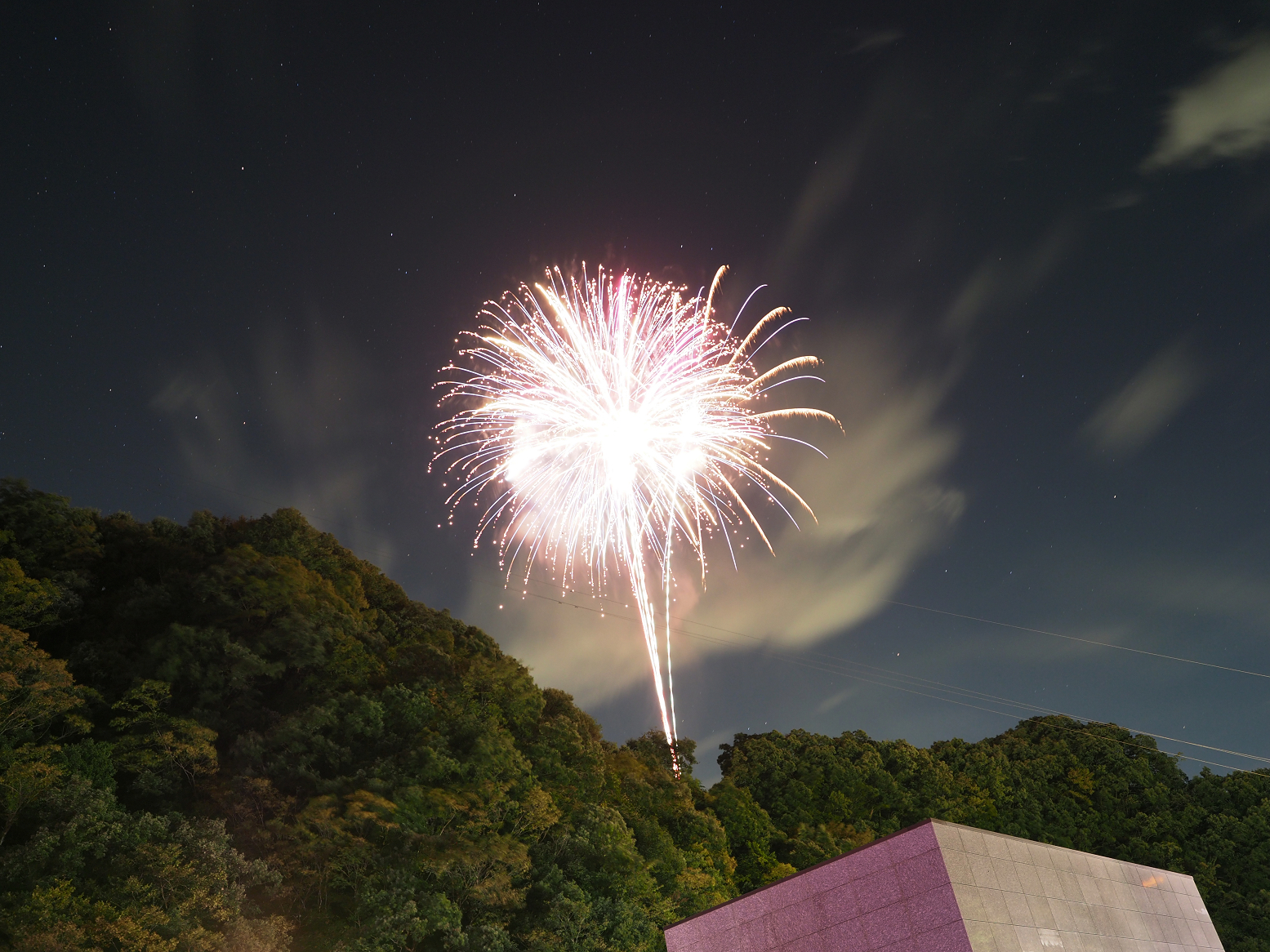 PA260217.jpg