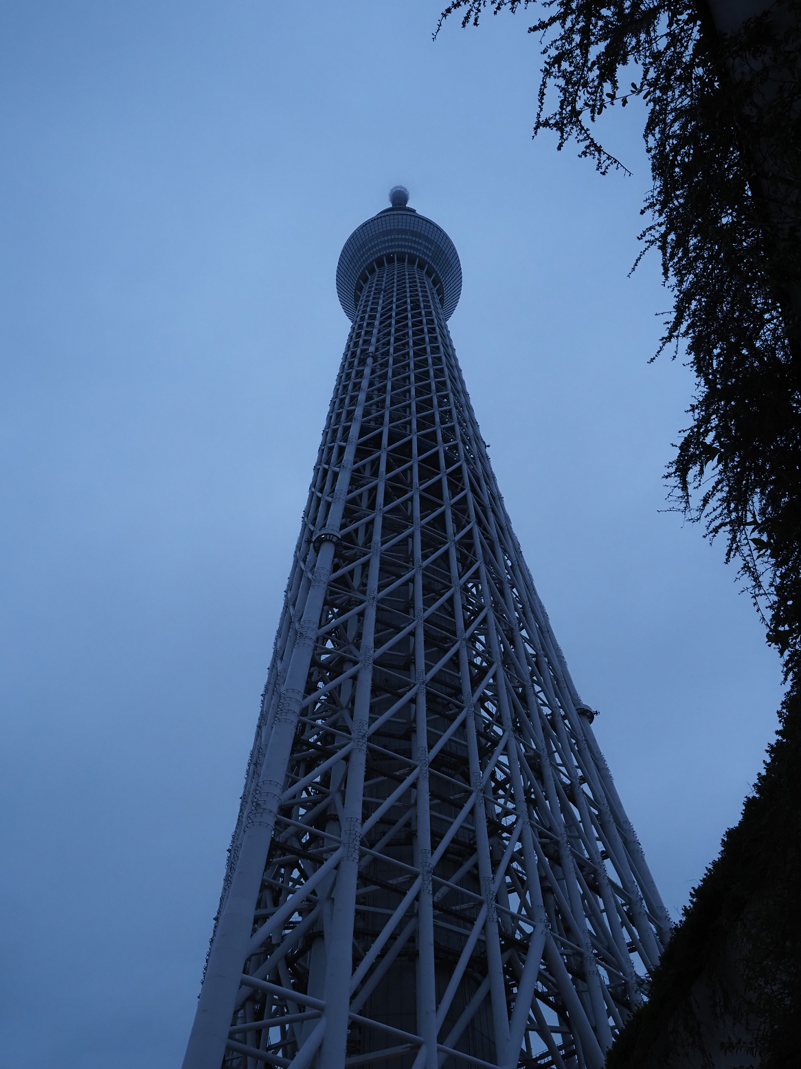 PB030226.jpg