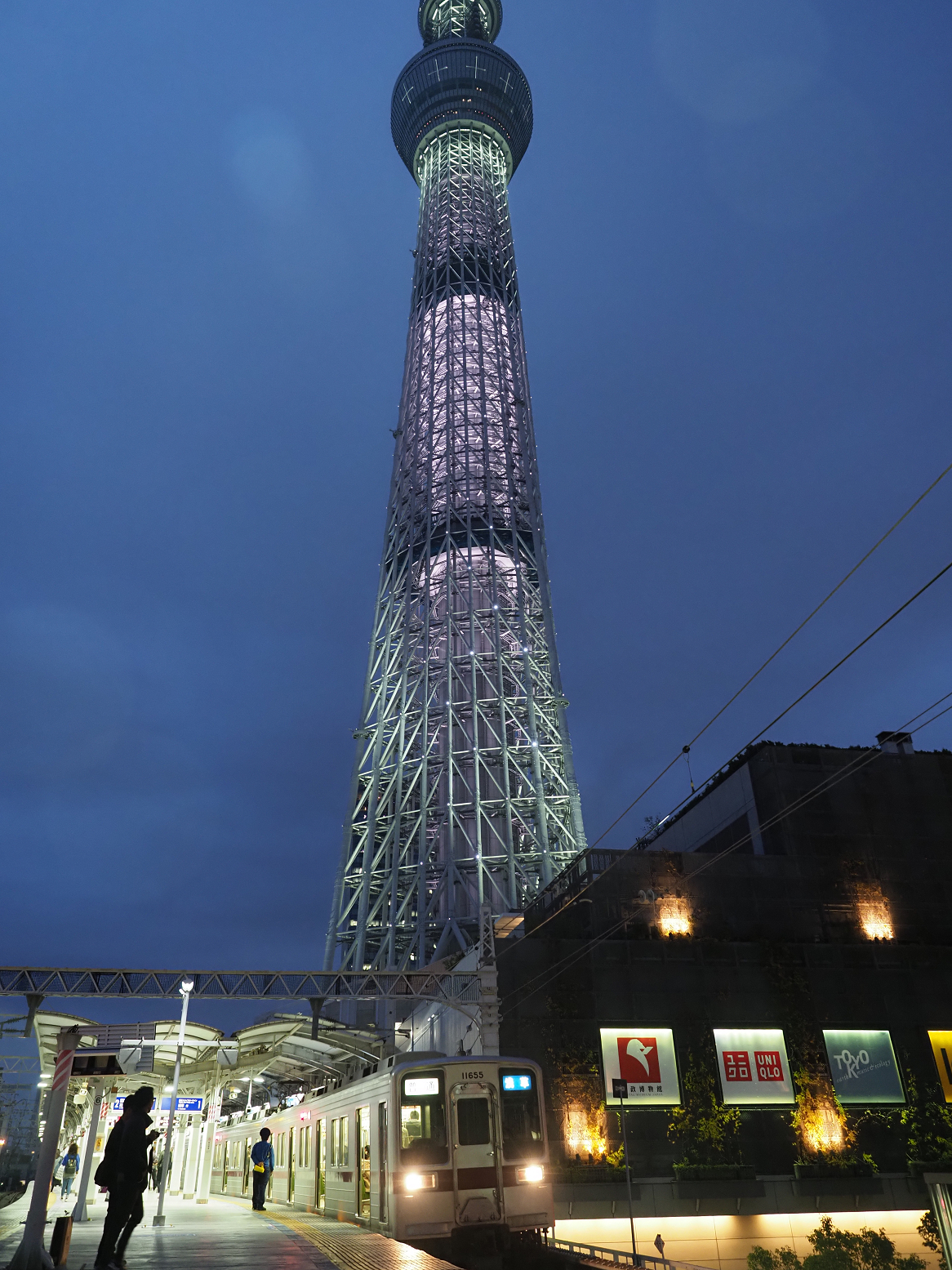 PB030237.jpg