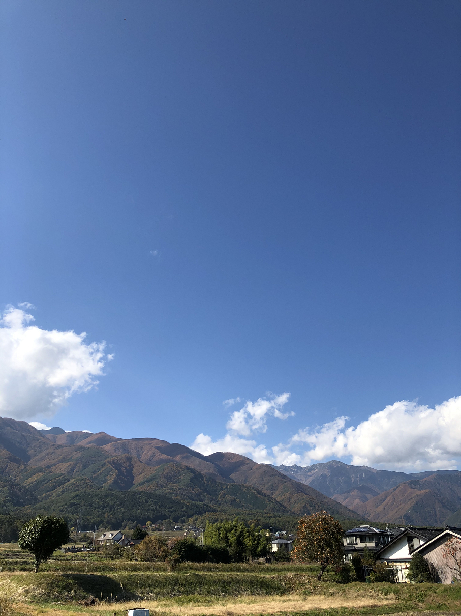 IMG_4370.jpg