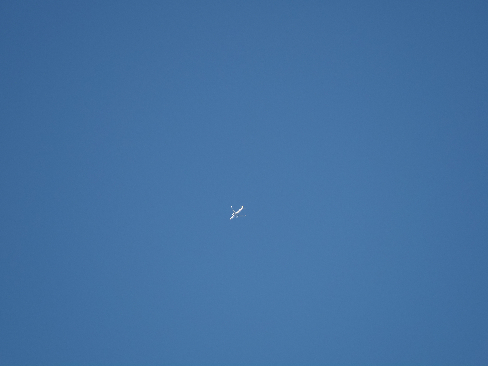 PB100066.jpg