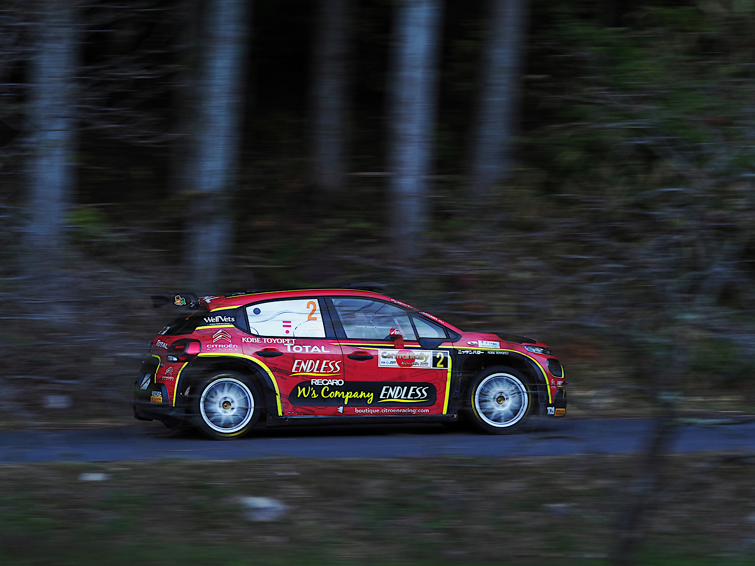 PB100108-.jpg
