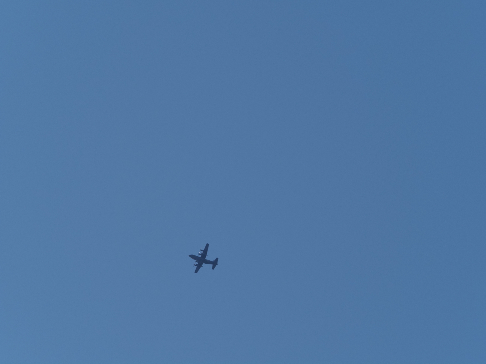 PB100583.jpg