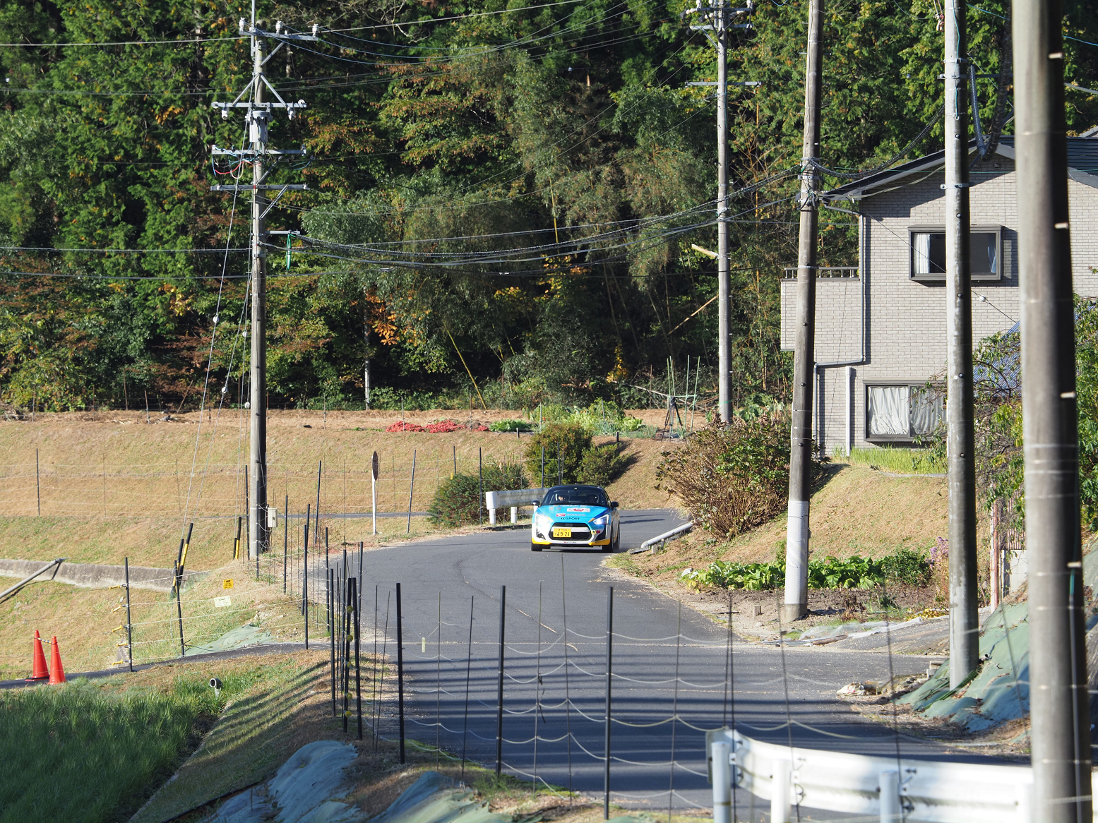PB100749.jpg
