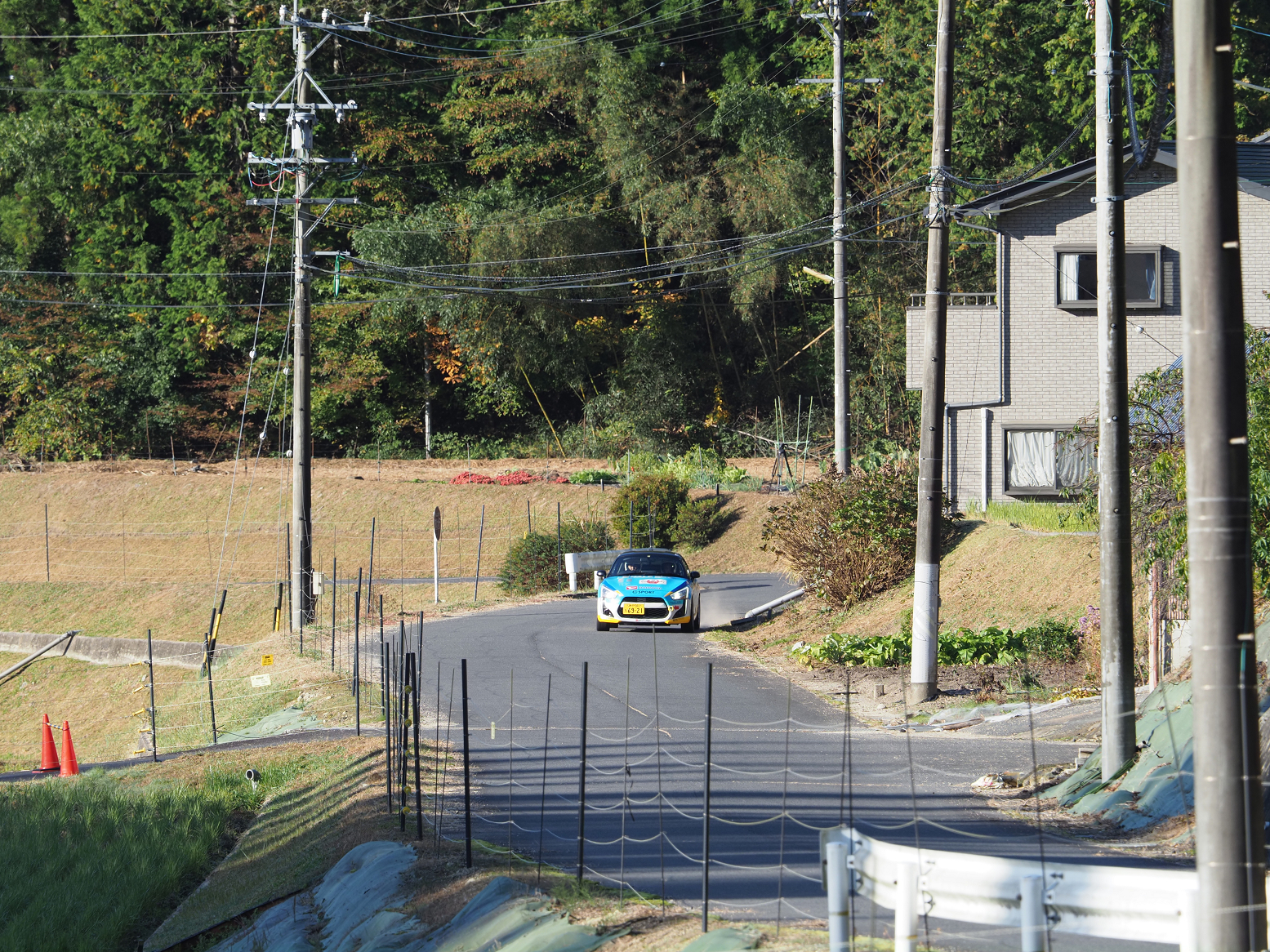 PB100751.jpg