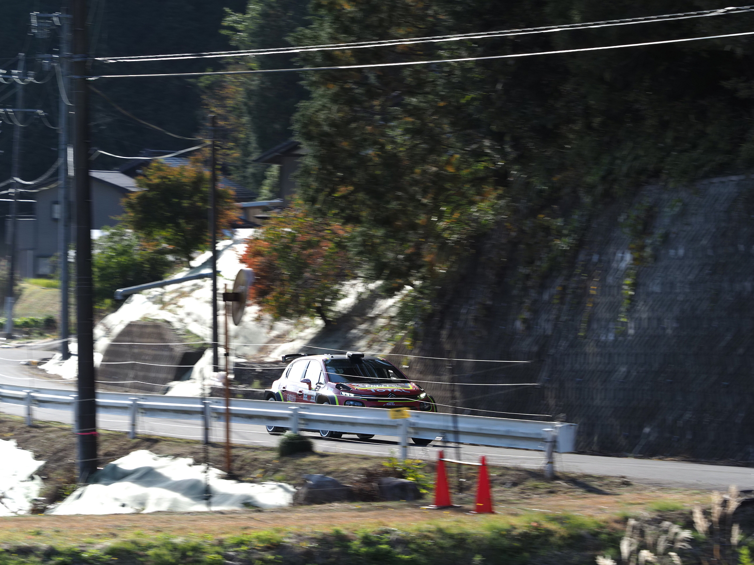 PB102210.jpg