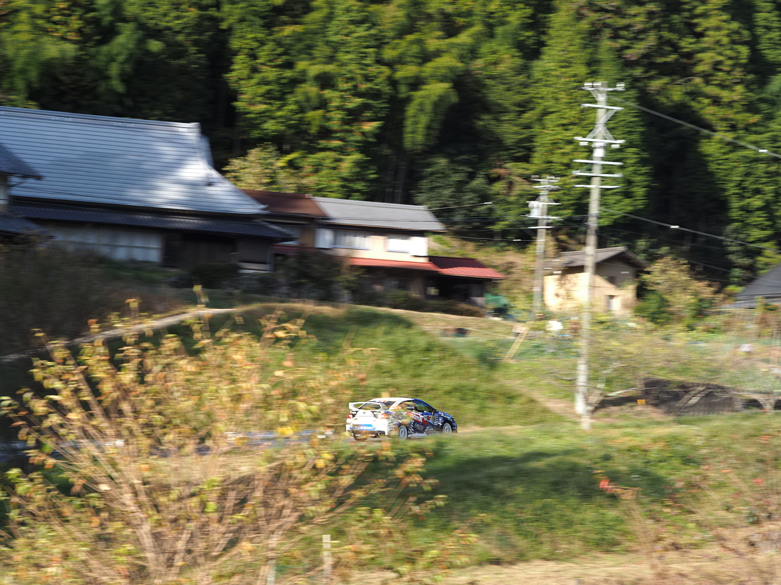 PB102632.jpg