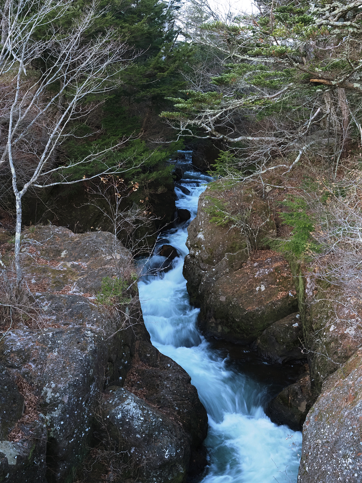 PB170083.jpg