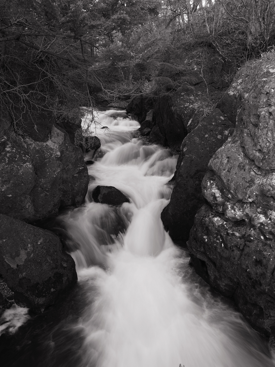PB170093.jpg