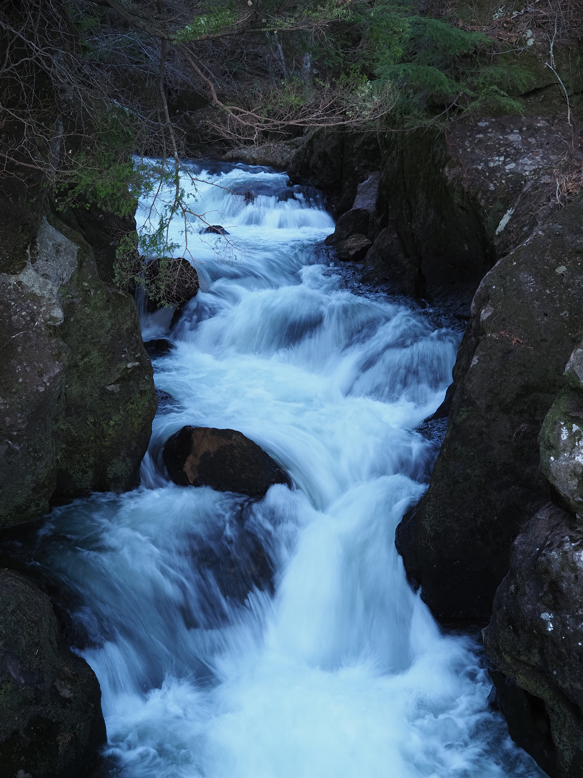 PB170108.jpg