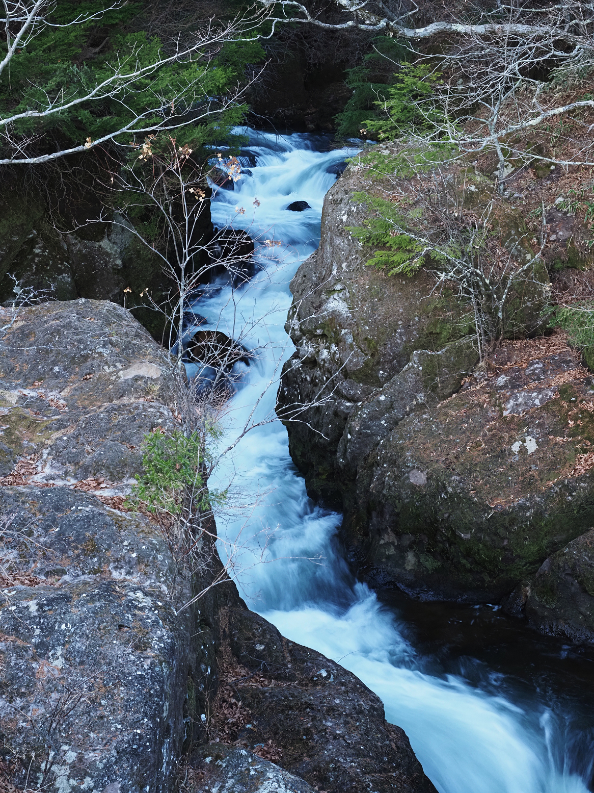 PB170113.jpg