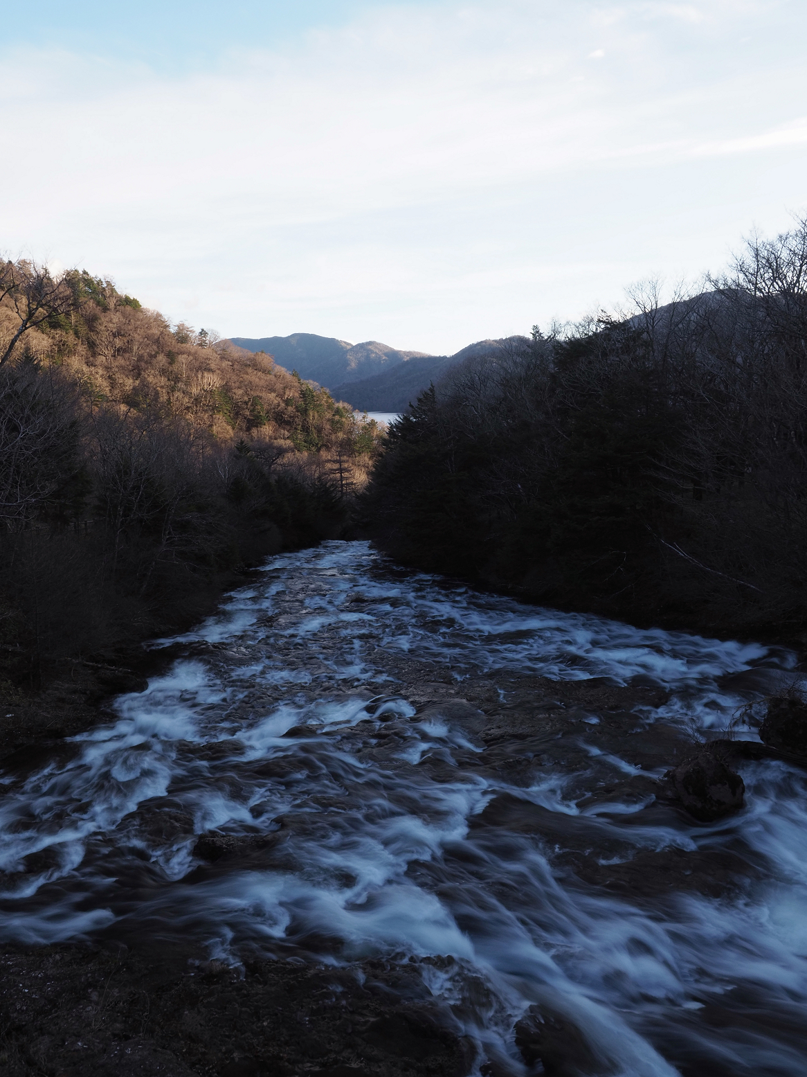 PB170117.jpg