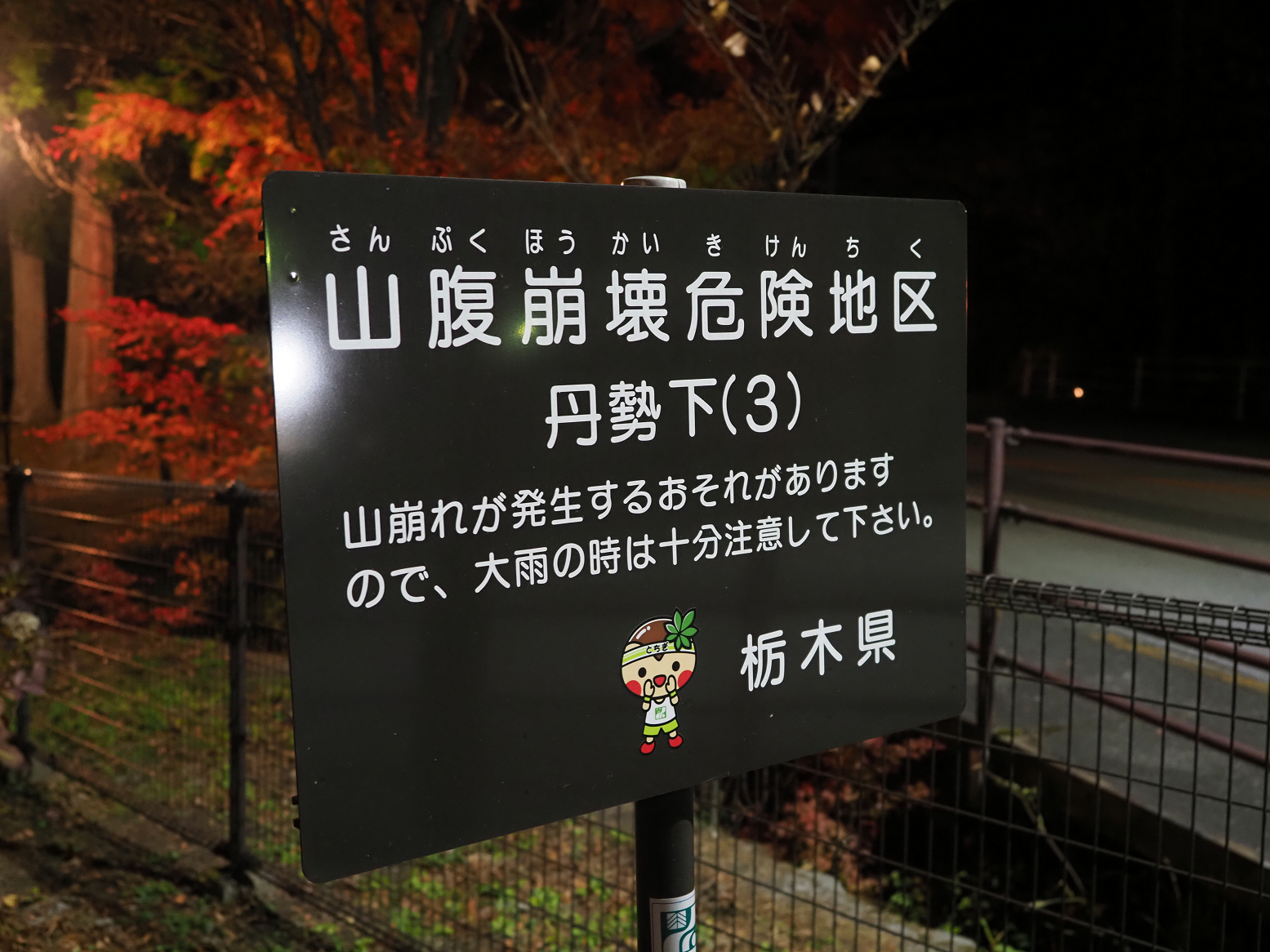 PB170230.jpg