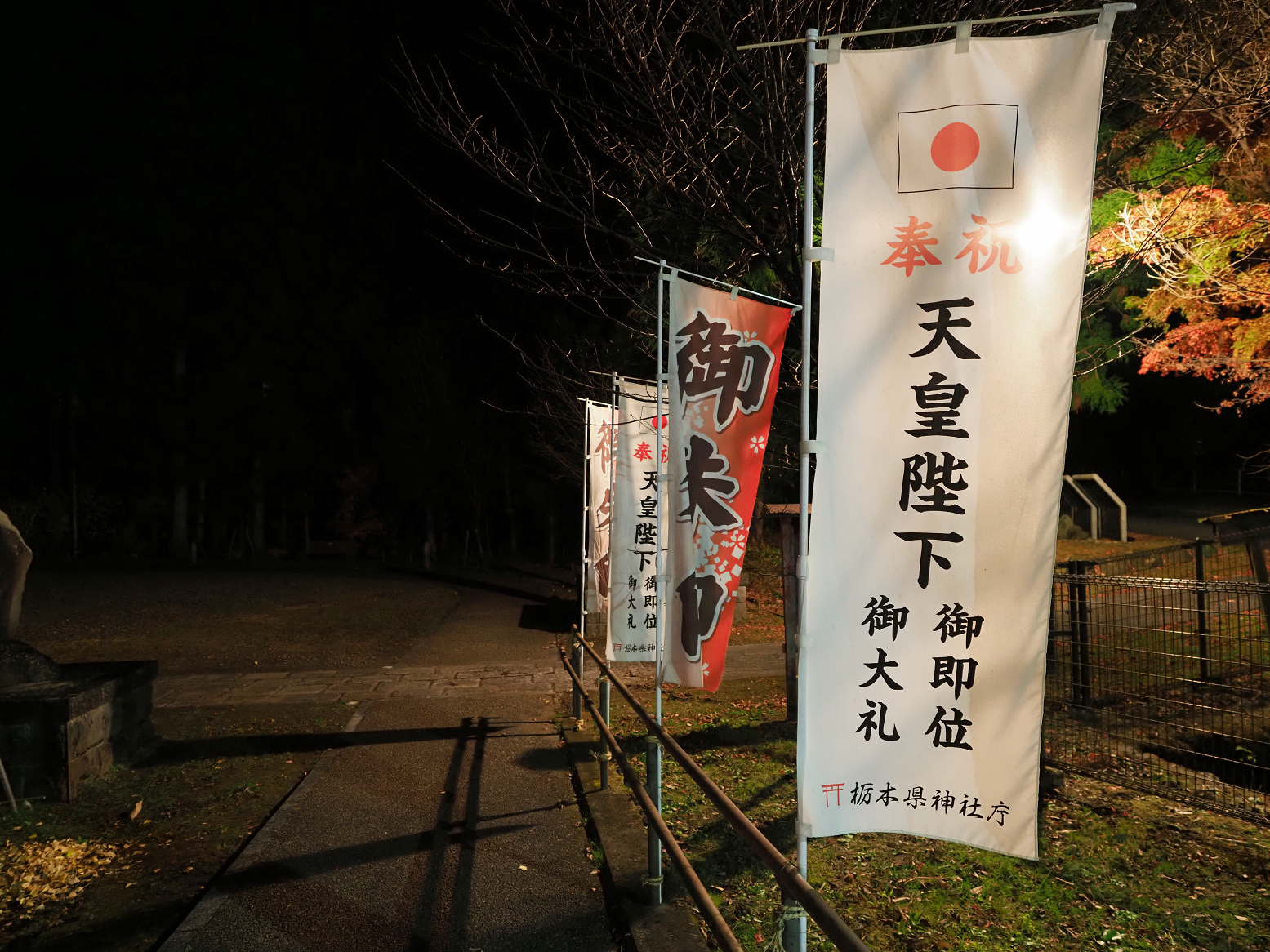 PB170232.jpg