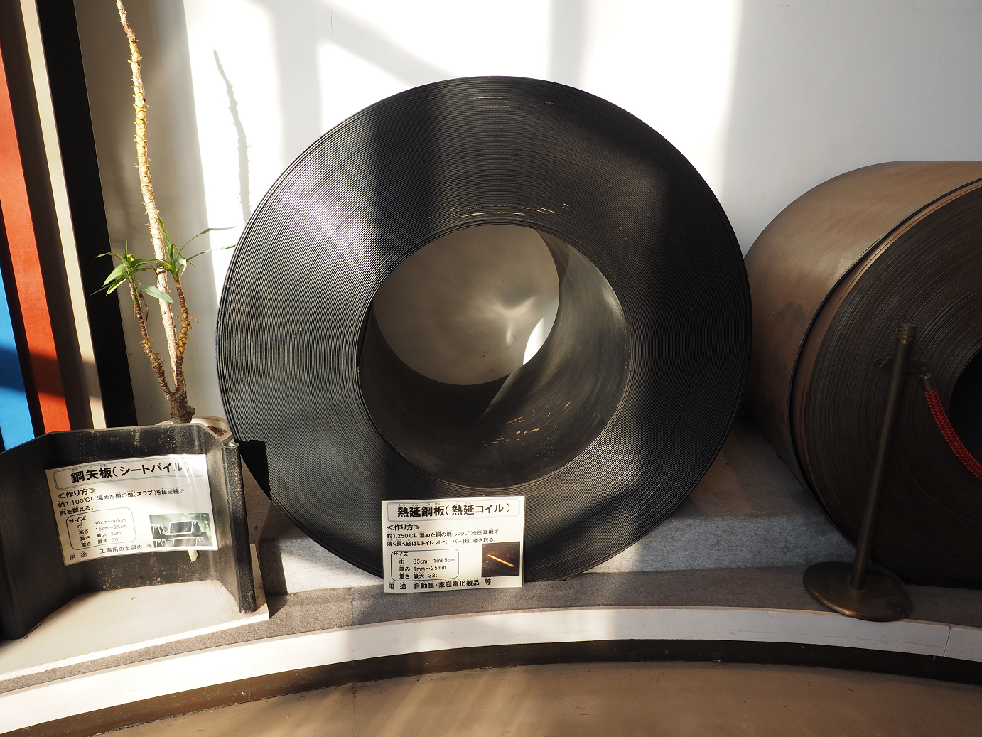 P2210156.jpg