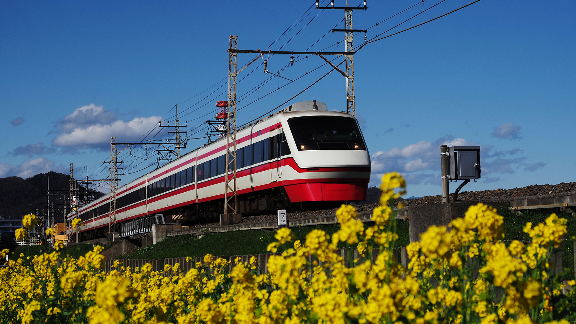 P3110077-01-HD.jpg