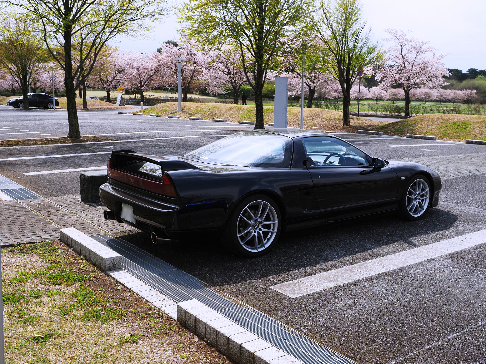 P4050214.jpg