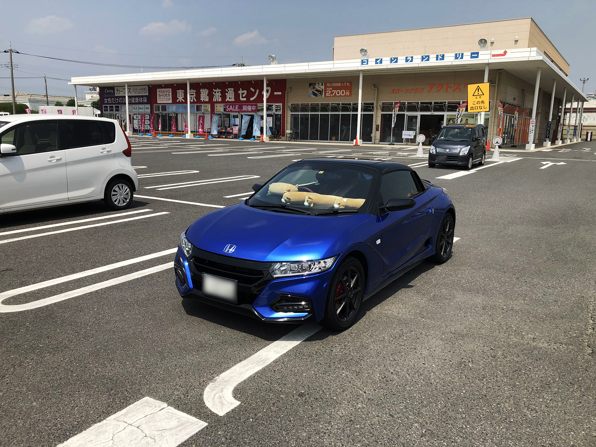 P6050050.jpg