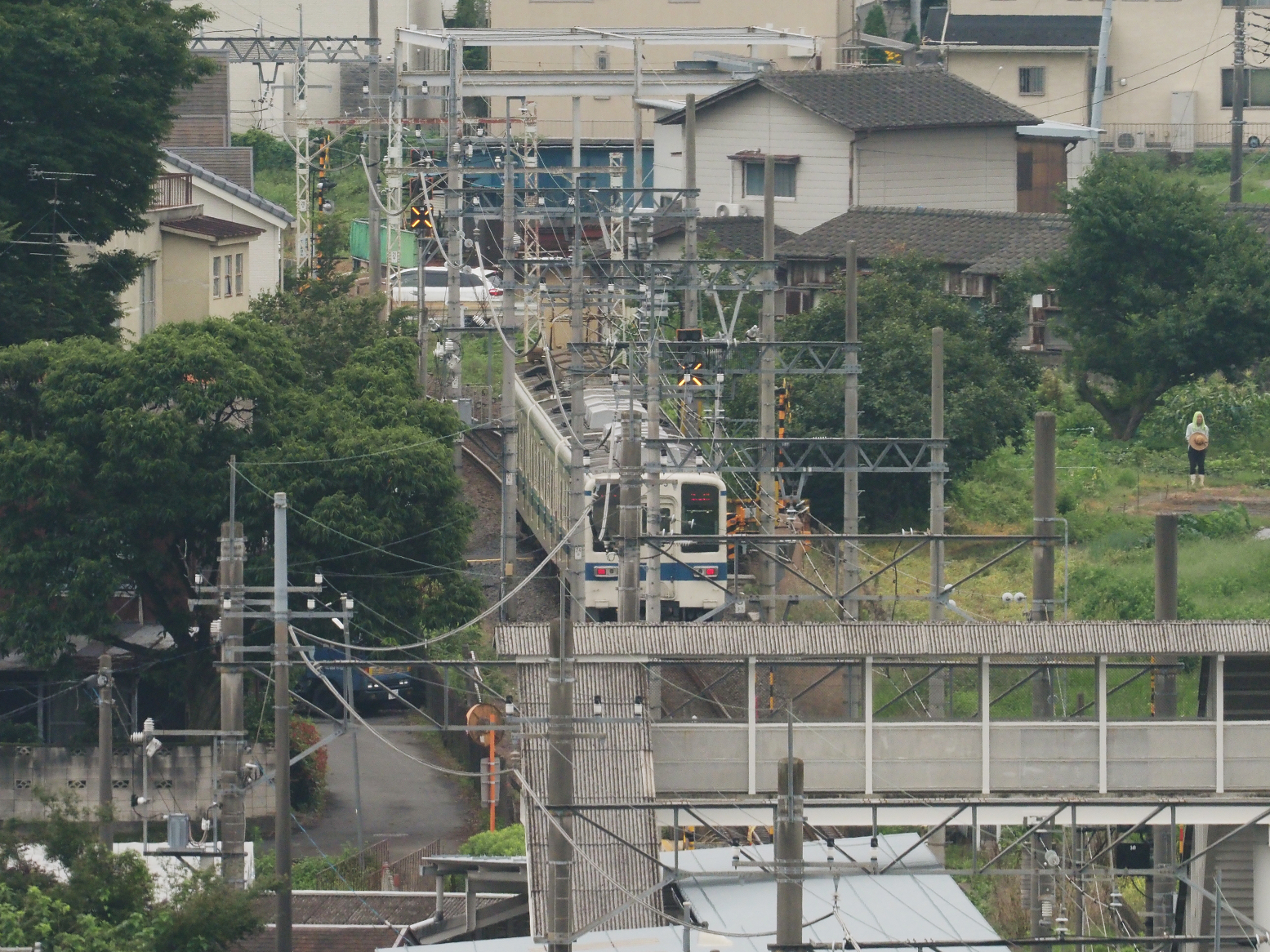 P7070004.jpg