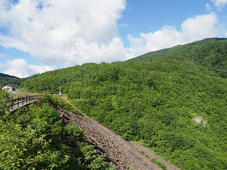 P7190014_thumb.png