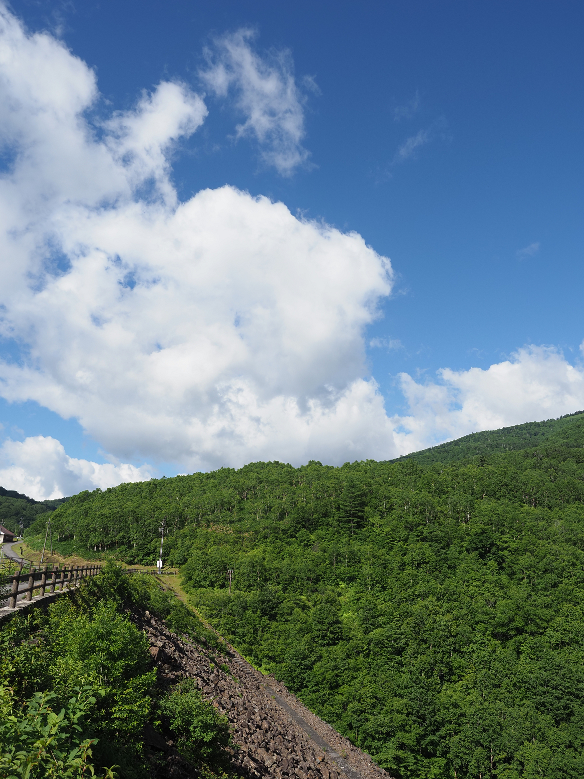 P7190015.jpg