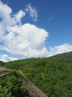 P7190015_thumb.png