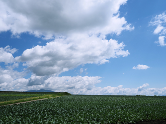 P7190108_thumb.png