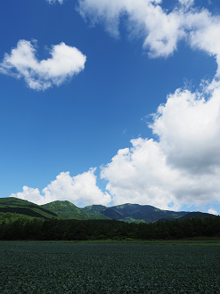 P7190115_thumb.png