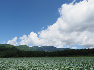 P7190123_thumb.png