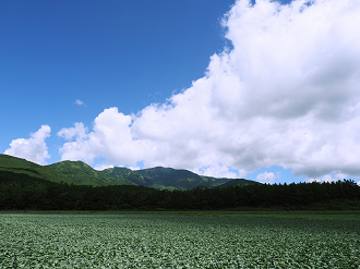 P7190128_thumb.png