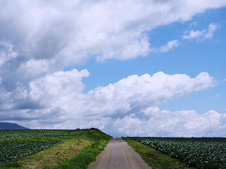 P7190139_thumb.png