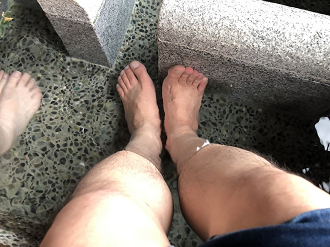PPIMG_4487_thumb.png