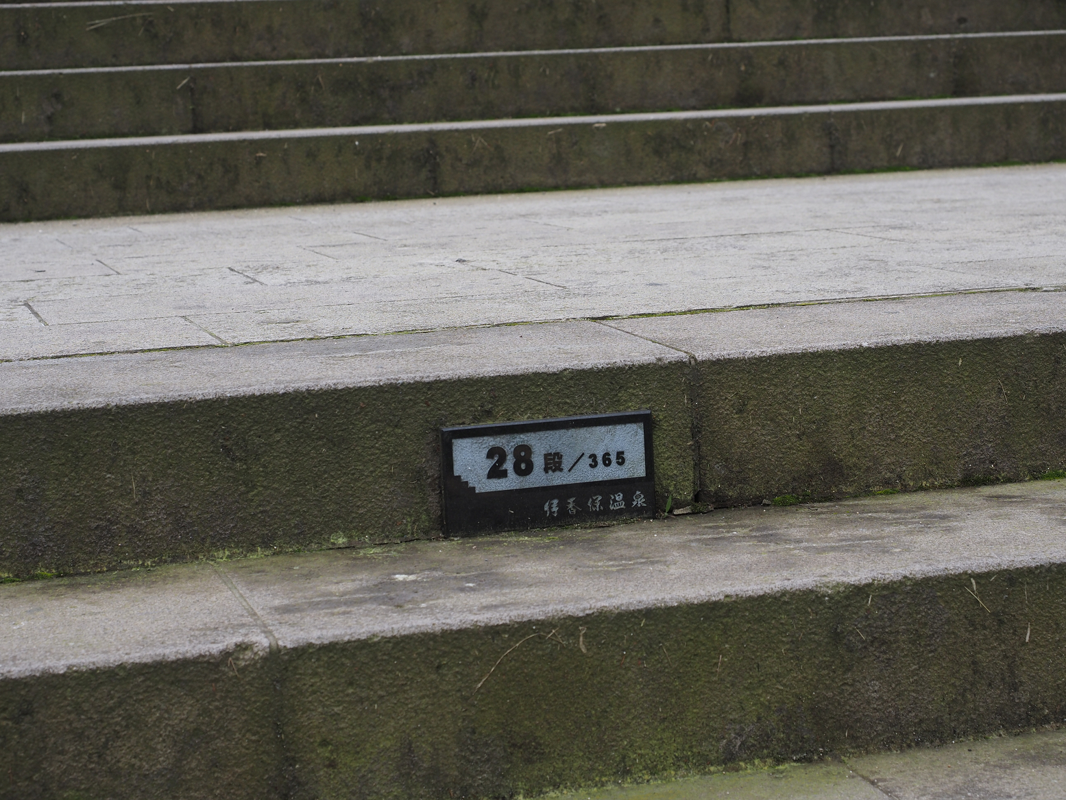 P8010256.jpg