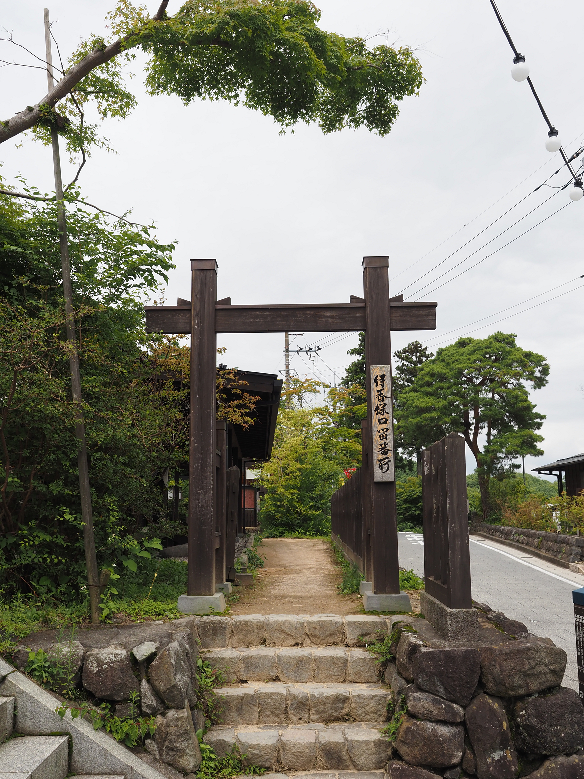P8010257.jpg