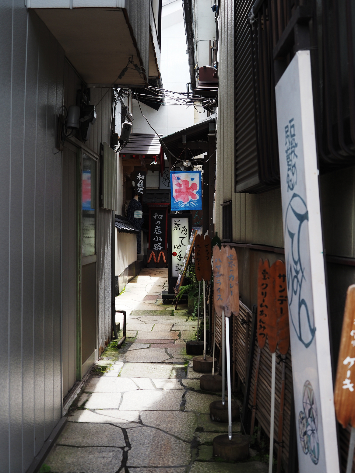 P8010259.jpg