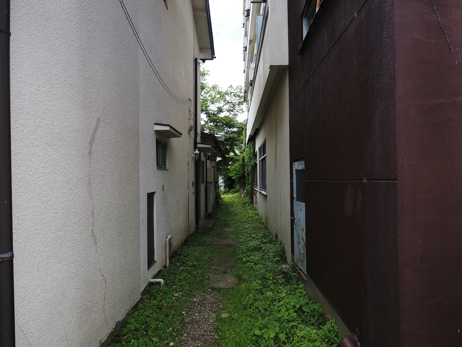 P8010264.jpg