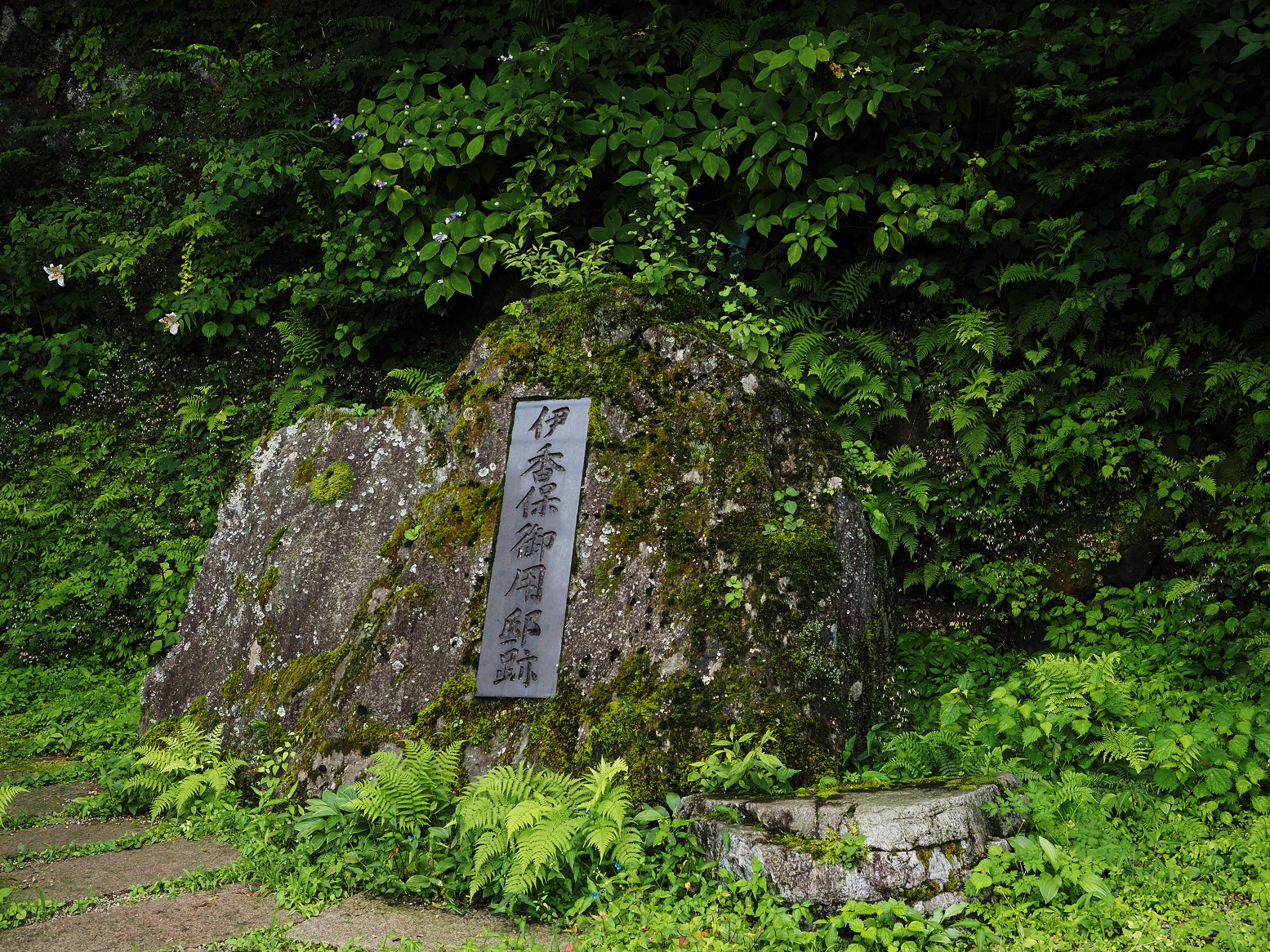 P8010288.jpg