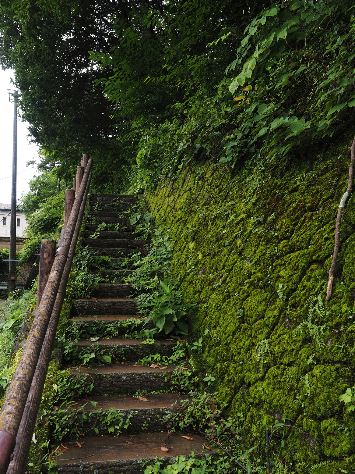 P8010289.jpg