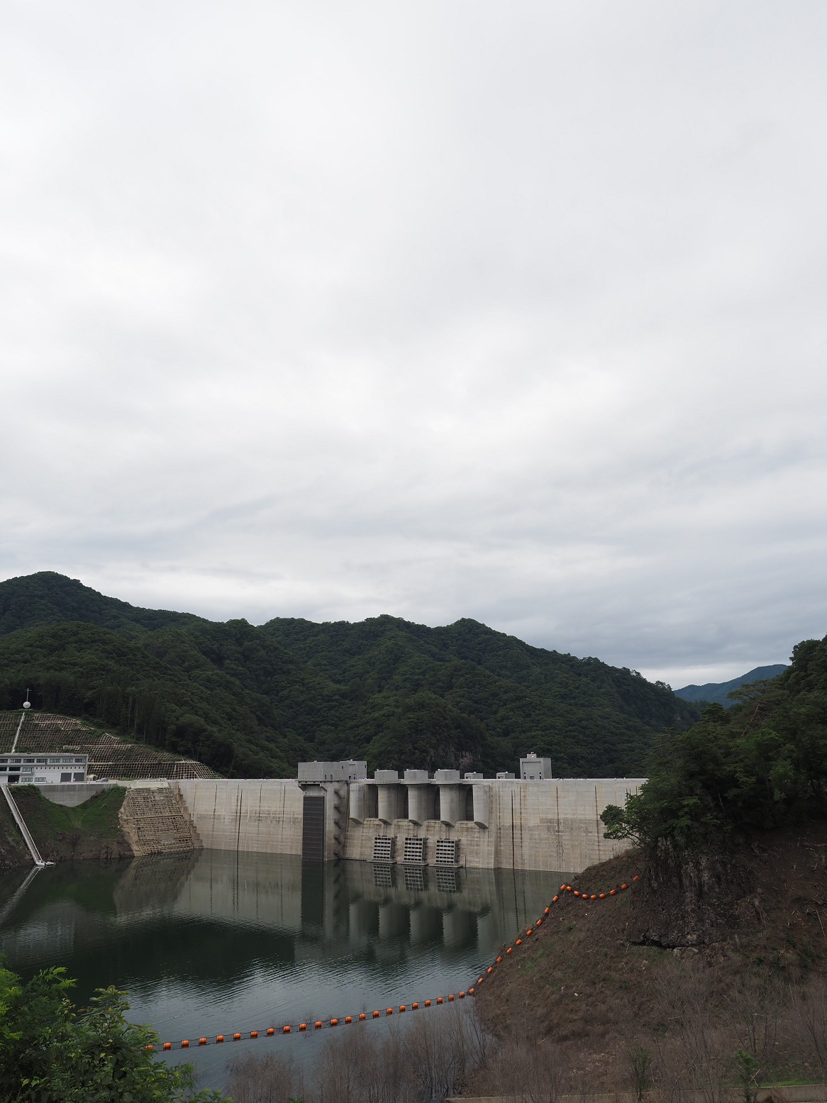 P8010316.jpg