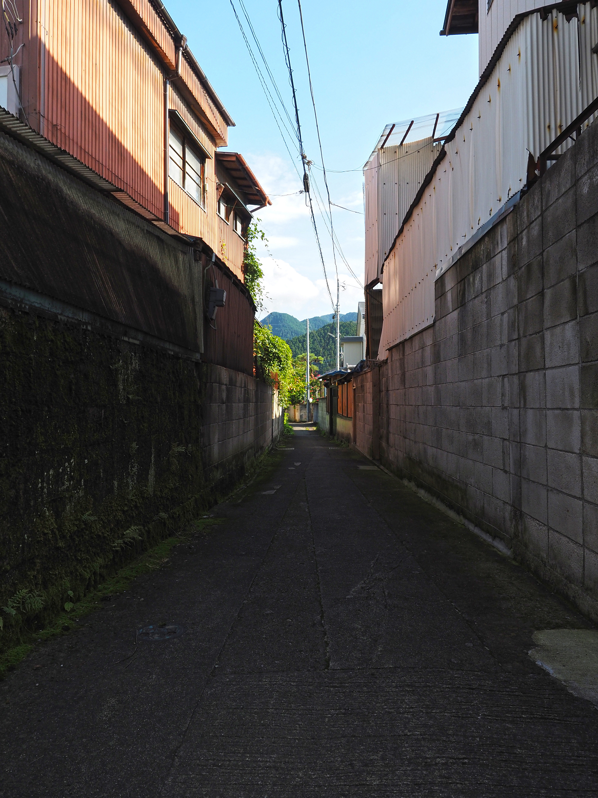 P8010324.jpg