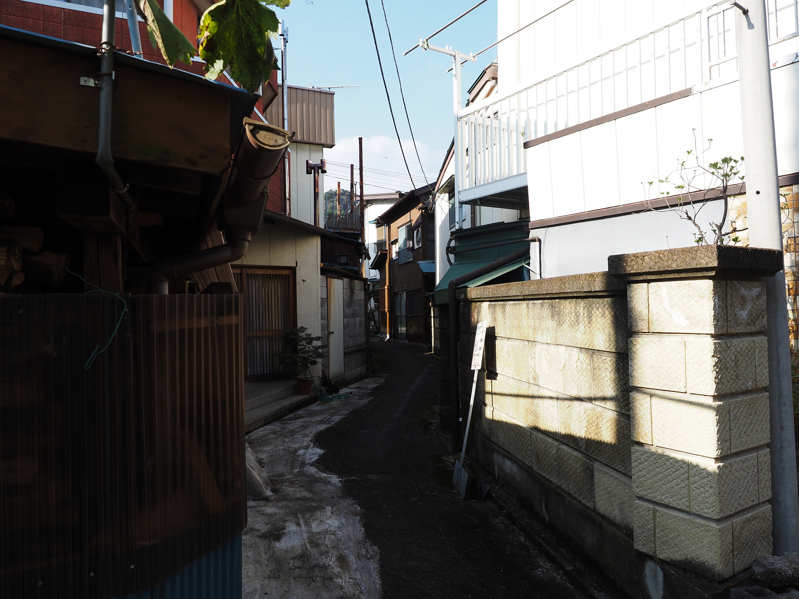 P8010328.jpg