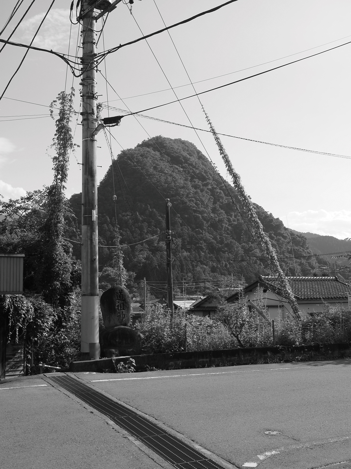 P8010333.jpg