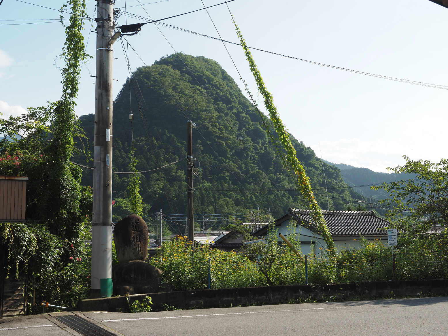 P8010334.jpg