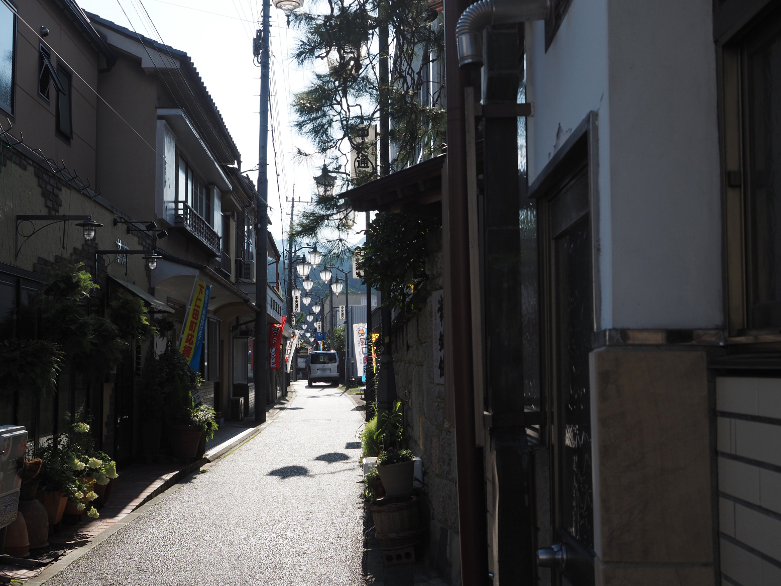 P8010357.jpg